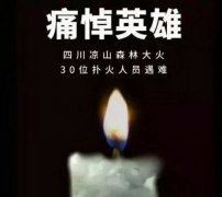 陽光甚好，是有人為我們擋住了黑暗...